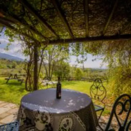 Fattoria Montalbano 팜스테이