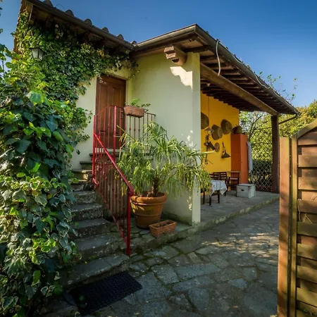 Fattoria Montalbano Reggello